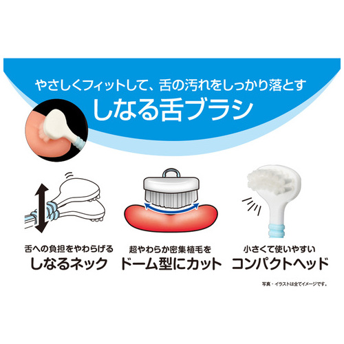 しなる舌ブラシ（6本入）_画像04
