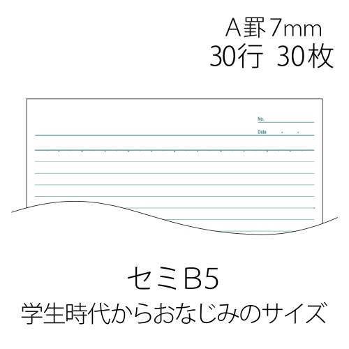 ノートブック NO-003AS B5 A罫_画像04