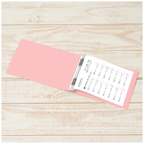 フラットファイル縦罫B6E No.052NT PK 10冊_画像04