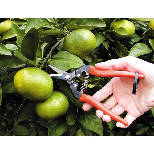 EA540AA-7 190mm ハサミ･摘果_画像02