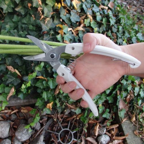 EA540BC-12 192mm ハサミ･剪定_画像04