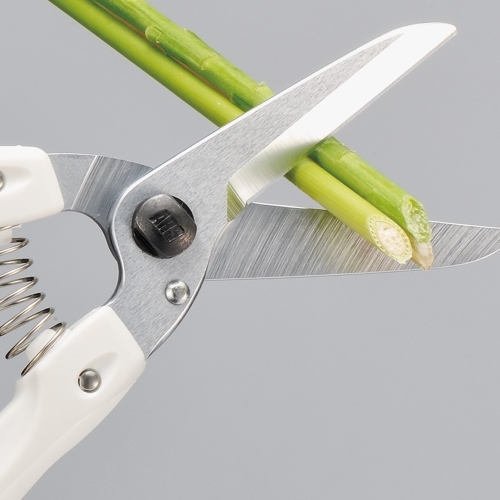 210mm生花園芸はさみ_画像03