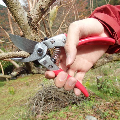 EA540BC-15A 200mm ハサミ･剪定_画像03