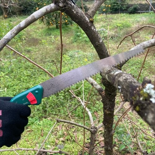 EA599GF-2 386mm/240mm 剪定鋸 生木_画像02