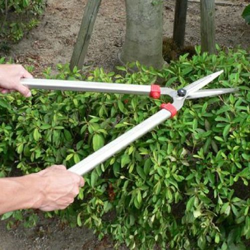 EA650A-8 650mm 刈込鋏_画像02