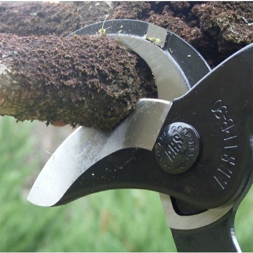 EA650AC-33A 778mm 枝切鋏_画像03