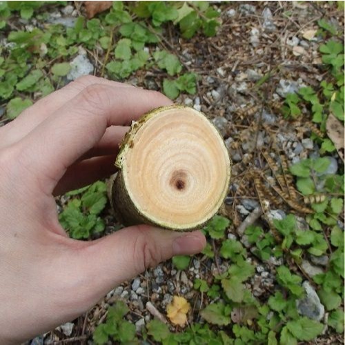 EA650AC-33A 778mm 枝切鋏_画像04