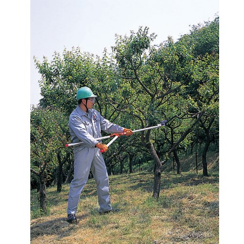 EA650AX-21 1500mm 高枝鋏 刃長63mm_画像02