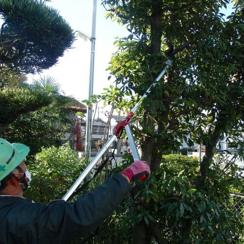 EA650AX-21 1500mm 高枝鋏 刃長63mm_画像04