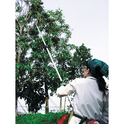 EA650AX-31 1.8-3.0m 高枝切 採収型･伸縮柄_画像03