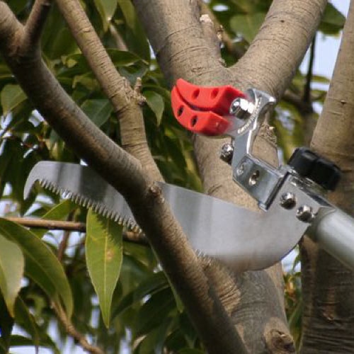 EA650AX-31 1.8-3.0m 高枝切 採収型･伸縮柄_画像04