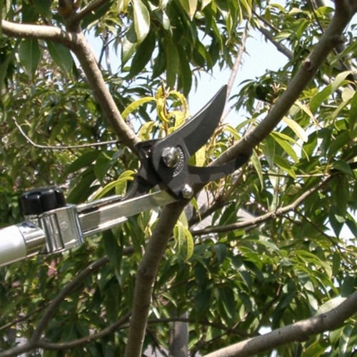 EA650AX-32 1.8-3.0m 高枝鋏 剪定型･伸縮柄_画像03