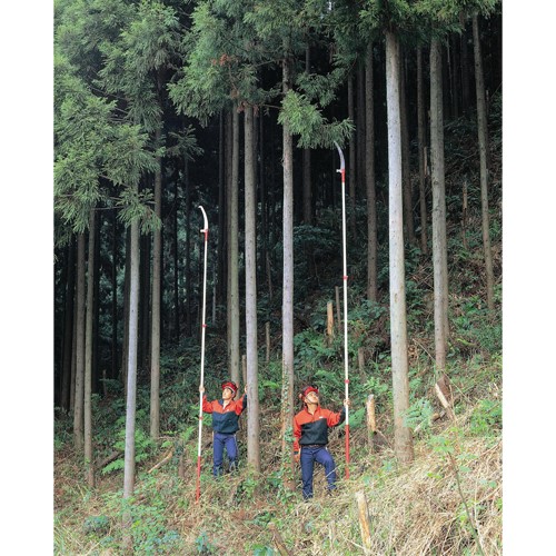 EA650AX-170 2.69-6.12m 高枝鋸_画像03