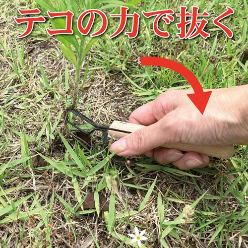 EA650BE-9 150mm 除草ホーク_画像04