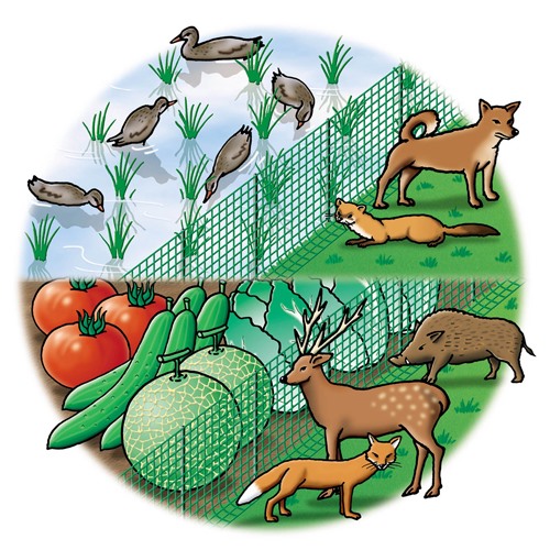 EA952AD-32 1.0x50m アニマルネット_画像04