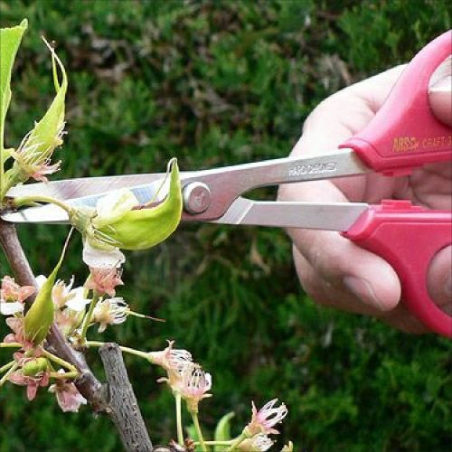 EA540BF 195mmハサミ･クラフト_画像03