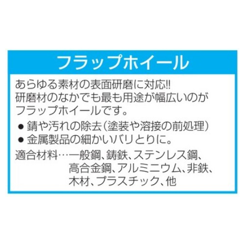 EA819AD-31C #8030x10/3mmフラップホイール_画像03