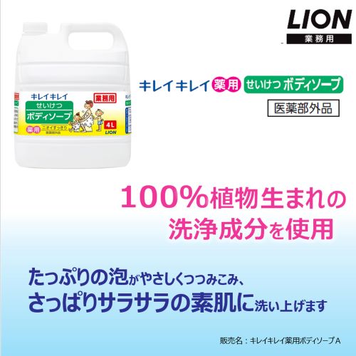 EA922KR-9 4.0L ボディソ-プ_画像03