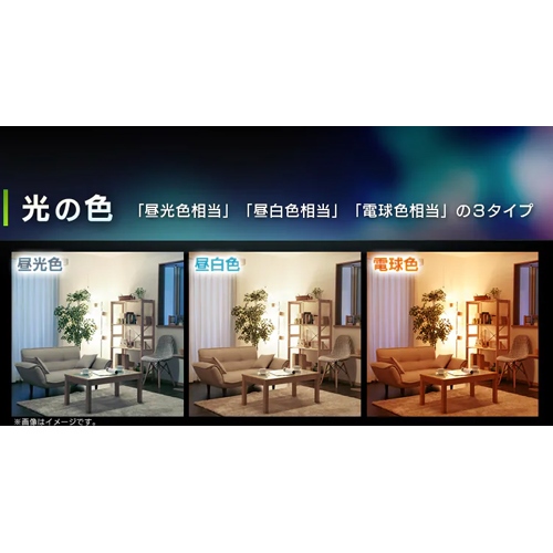 AC100V/7.3W/E26 電球/LED(昼白色/広配光)_画像03