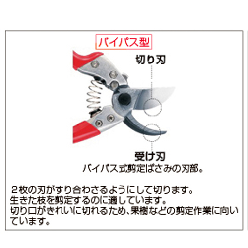 203mmハサミ･剪定_画像03