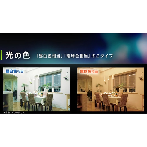 AC100V/2.9W/E26 電球/LED 昼白色_画像03