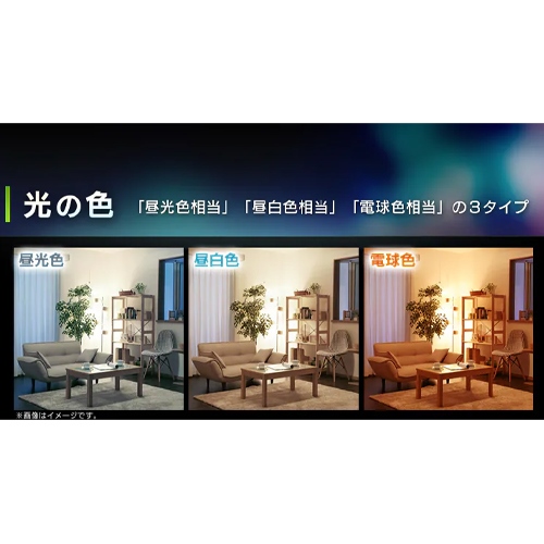 AC100V/4.4W/E26 電球/LED 昼白色_画像03