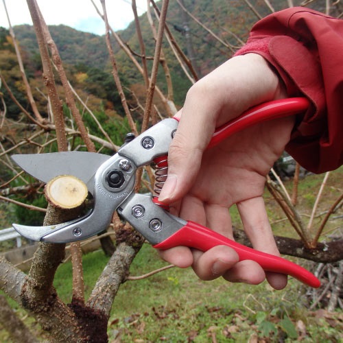 205mm はさみ・剪定_画像04