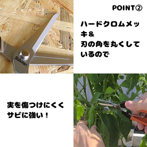 177mm 摘果はさみ_画像04