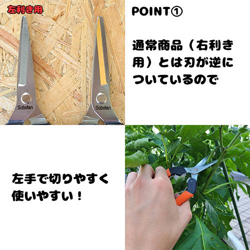 177mm 摘果はさみ(左きき用)_画像03