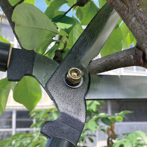 650mm 枝切・刈込兼用鋏_画像04