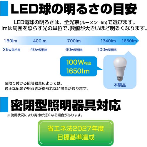 AC100V/100W/E26/電球/LED (昼光色)_画像03
