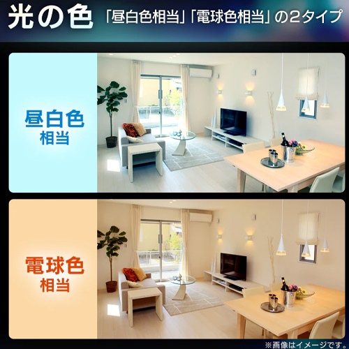 AC100V/7.3W/E26 電球/LED(全方向/昼白色)_画像03