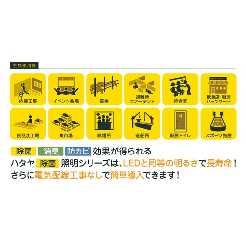 AC100V/11W 照明灯/電球型蛍光灯(除菌/屋内_画像02