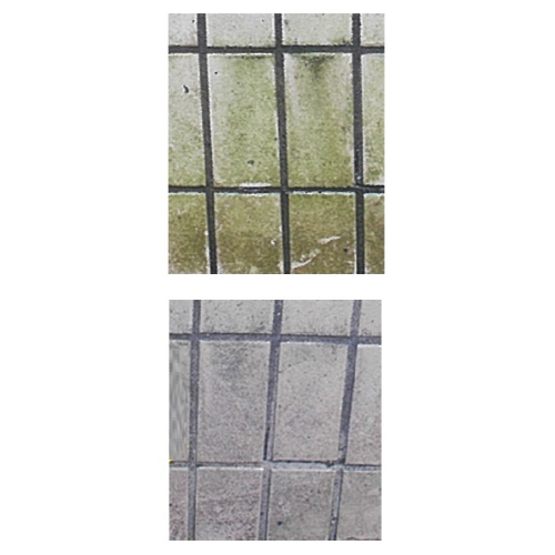 2.0L コケ取り剤(濃縮タイプ)_画像03