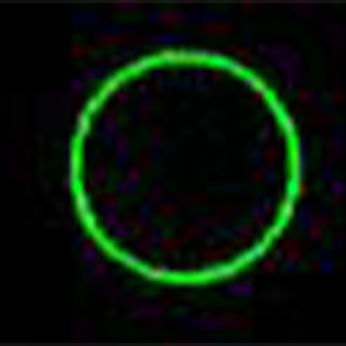 13x151x13mmグリーンレーザーポインター_画像03