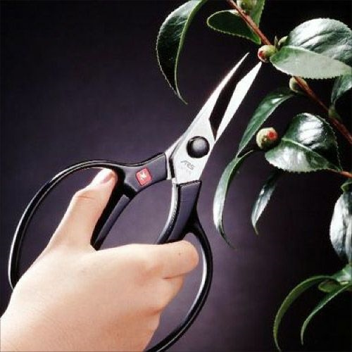 228mmはさみ･植木_画像03