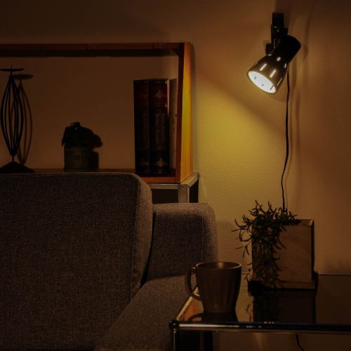 AC100V/60W(E26)照明灯(クリップ式)_画像04