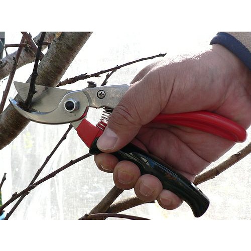 200mm剪定はさみ(負担軽減クリップ)_画像03