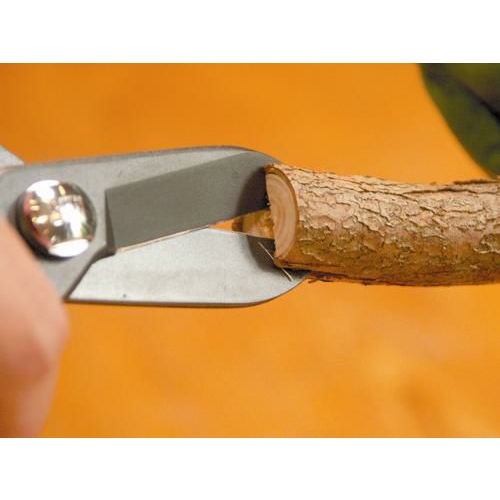 171mm業務用はさみ･フラワー_画像03