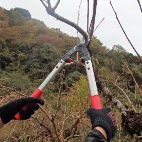 482mm枝切鋏_画像04