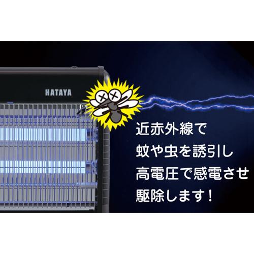 AC100V/16W電撃殺虫器(屋内用)_画像03