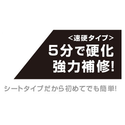 100x150mm/10mlFRP補修シート(プラリシート_画像02
