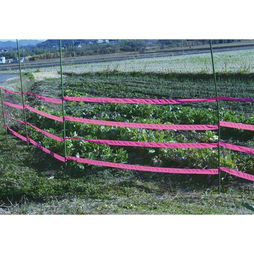 50mmx200mマーキングテープ(非粘着/濃桃_画像02
