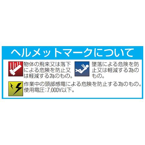 ヘルメット(通気孔/広シールドレンズ付青_画像02