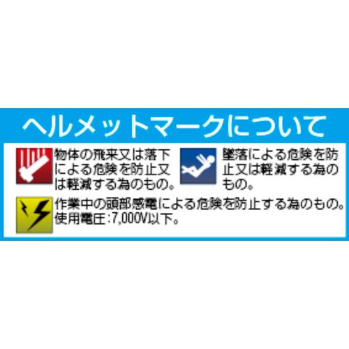ヘルメット(全周つば付き/白)_画像02