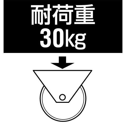 50キャスタ(ツインホイ-ル掃除機能M10xP1.5_画像03
