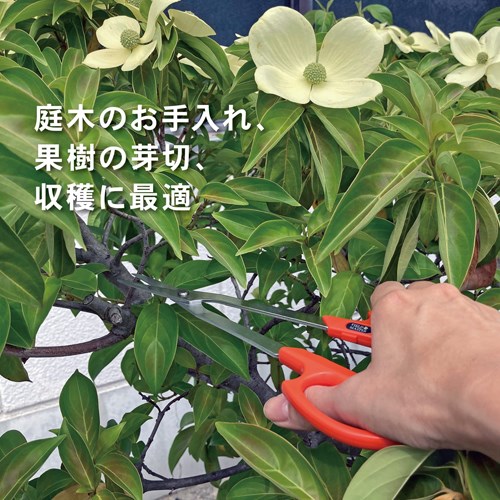 235mm芽切鋏(ロング柄)_画像04