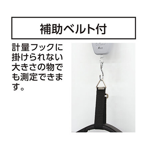 30kg(10g)デジタル吊りはかり_画像03