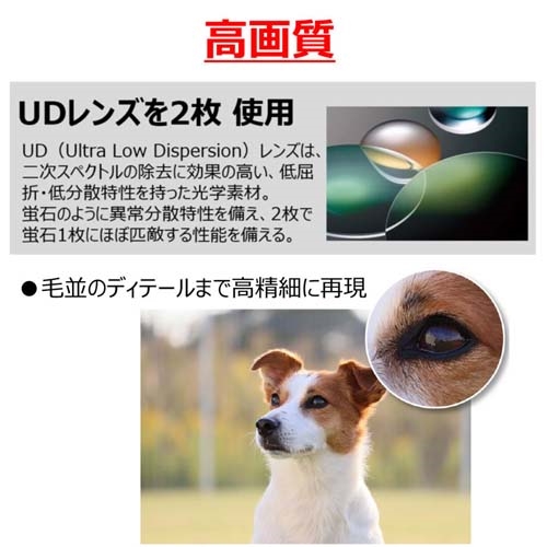 55-210mm望遠ズームレンズ(CANNON一眼レフ_画像04