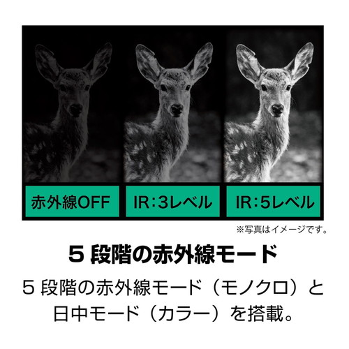 [防犯警備用]録画機能付暗視カメラ(軽量)_画像03